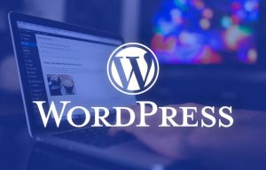 Чому варто замовити сайт на WordPress у професійній веб-студії?