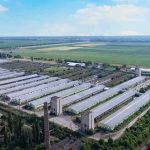 Поліфоска як ефективне і комплексне добриво: аграрна платформа Аoplatforma