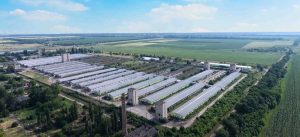 Поліфоска як ефективне і комплексне добриво: аграрна платформа Аoplatforma