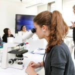 Высшее образование в Германии: система и поступление