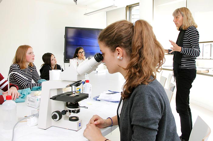 Высшее образование в Германии: система и поступление